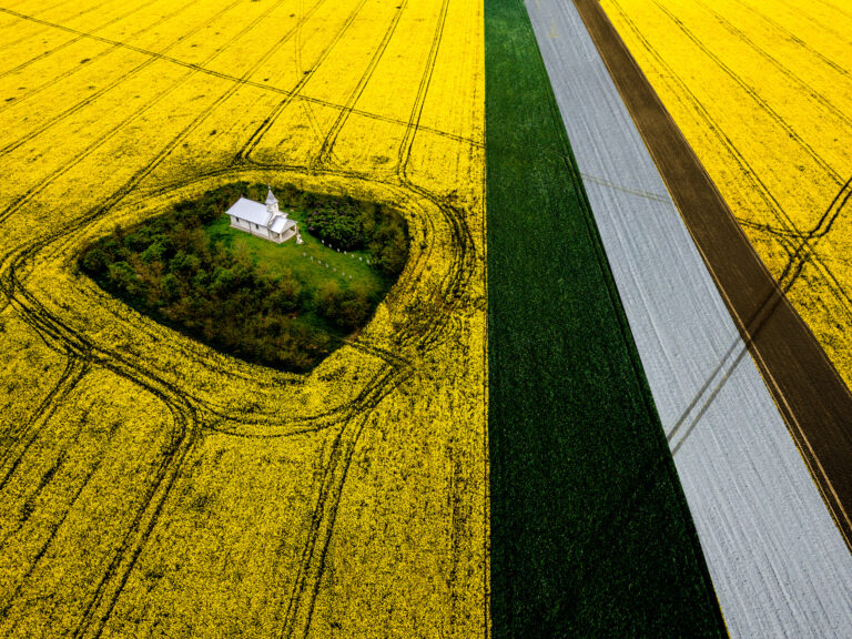 Pop Ovi D - Four-Seasons-03